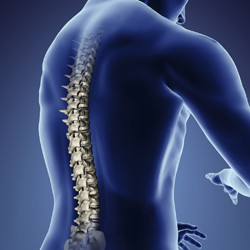 Spinal Cord Injury Accident Attorney Sacramento