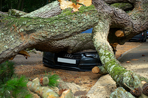 Car Accident Lawyer in Del Norte County, CA