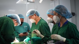 A group of surgeons in a room