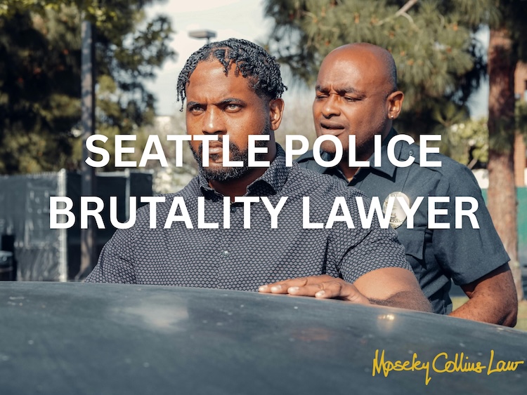 Seattle Police Brutality Lawyer