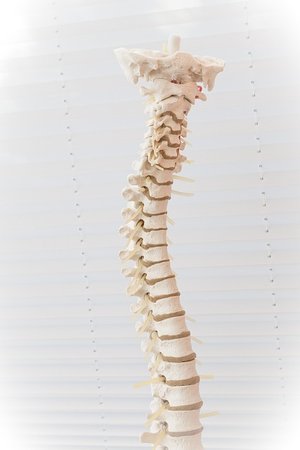 Seattle Spinal Cord Injury Lawyer
